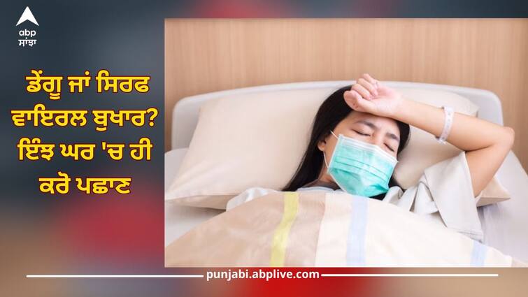 health tips dengue vs viral fever symptoms difference health news Dengue Vs Viral Fever: ਡੇਂਗੂ ਜਾਂ ਸਿਰਫ ਵਾਇਰਲ ਬੁਖਾਰ? ਇੰਝ ਘਰ 'ਚ ਹੀ ਕਰੋ ਪਛਾਣ