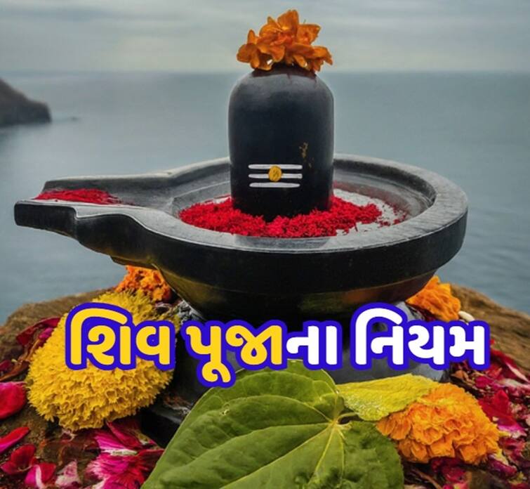 shravan 2024 shiv puja niyam what not to offer to shivling Shravan 2024: શિવલિંગ પર ભૂલથી પણ આ વસ્તુઓ ન ચઢાવો, ભગવાન શિવ નારાજ થઈ શકે છે