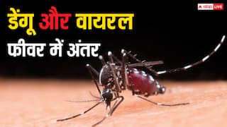 Dengue Vs Viral Fever: डेंगू हो गया है या फिर सिर्फ वायरल फीवर? घर पर ही ऐसे कर सकते हैं पहचान