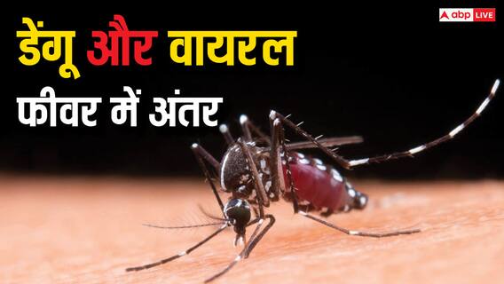 Dengue Vs Viral Fever: डेंगू हो गया है या फिर सिर्फ वायरल फीवर? घर पर ही ऐसे कर सकते हैं पहचान