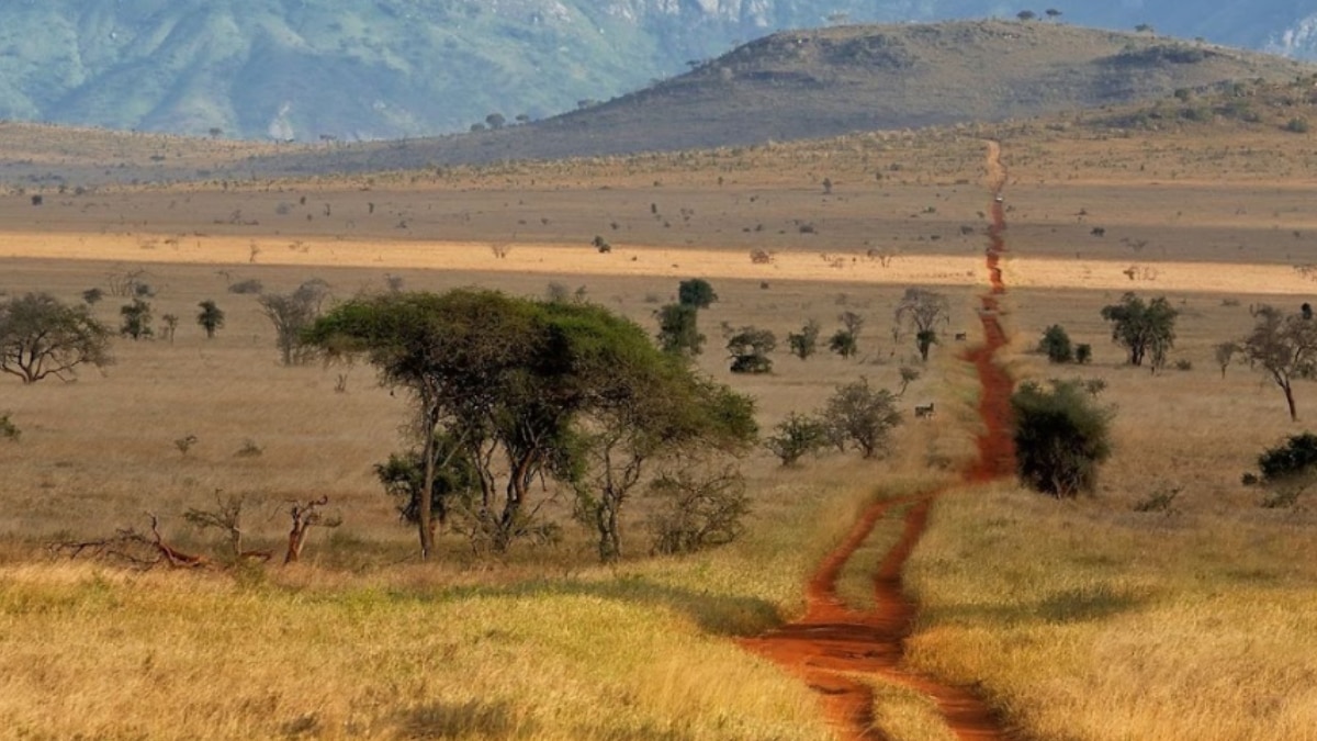 8 Safari Destinations In Africa