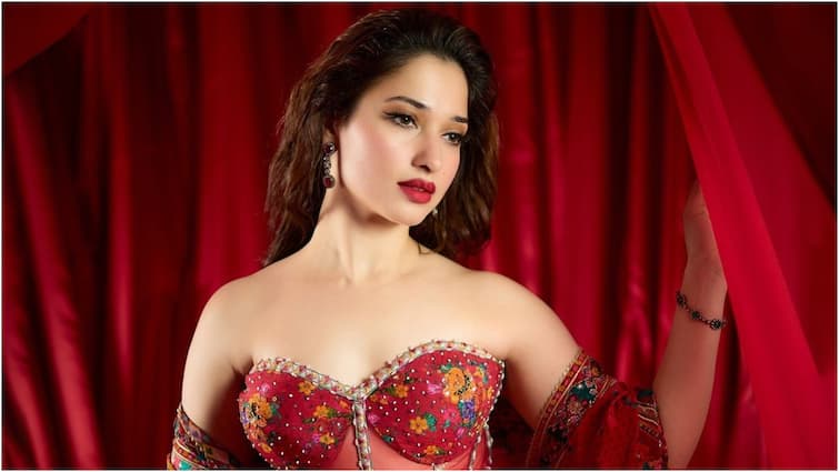 Independence Day 2024 is crucial for Tamannaah Bhatias Bollywood career as she pins hopes on Vedaa and Stree 2 Tamannaah Bhatia: తమన్నా డబుల్ బొనాంజా - బాలీవుడ్ కెరీర్‌కు కొత్త బిగినింగా? ఎండ్ కార్డా?