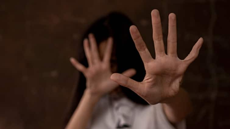 Delhi 11 Yr Old Girl Sexually Assaulted By Teacher In Sultanpuri School Father Alleges Police Inaction Delhi: 11-Yr-Old Girl 'Sexually Assaulted' In Sultanpuri School, Self Defence Trainer Held