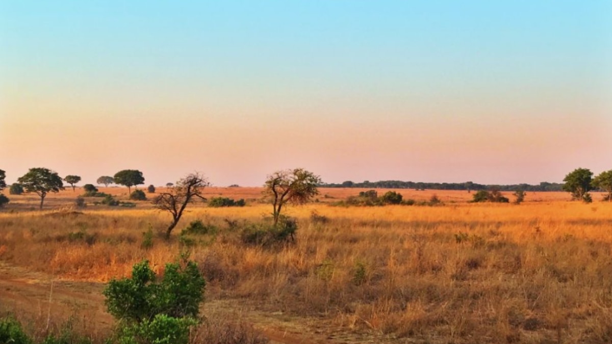 8 Safari Destinations In Africa