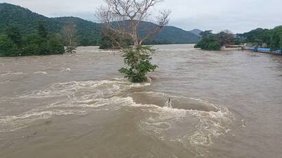 Cauvery water hohenakkal boats ban கர்நாடக அணைகளில் நீர்திறப்பு குறைப்பு எதிரொலி: காவிரி ஆற்றில் நீர்வரத்து தொடர்ந்து சரிவு