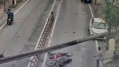 नालंदा में चलती बाइक पर गिरा था विशाल ताड़ का पेड़, दो दोस्तों की मौत का लाइव वीडियो आया सामने