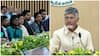 Chandra babu: సింపుల్‌ అండ్‌ ఎఫెక్టివ్‌ గవర్నెన్స్‌ ఉండాలి- అందరి పనితీరుపై మూడు నెలలకోసారి రివ్యూ: చంద్రబాబు