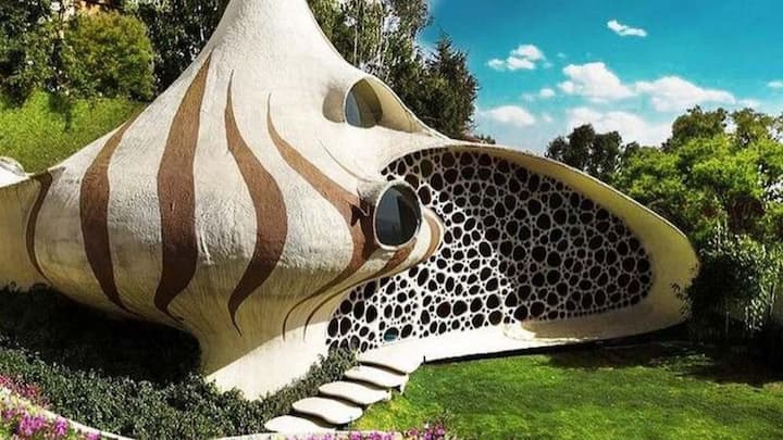 नॉटिलस हाउस, समुद्र के सीप जैसा दिखने वाला ये घर वास्तुकला का एक अलग ही उदाहरण पेश करता है. इसकी बड़ी खिड़कियां सूर्य की रोशनी को अपने अंदर सहेजती हैं.