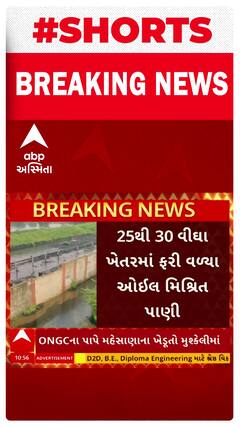Mehsana News | મહેસાણામાં 25 વીઘાથી વધુ જમીનમાં ફરી વળ્યા ઓઇલ મિશ્રિત પાણી