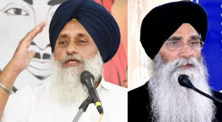 shiromani-akali-dal-formed-new-core-committee-in-punjab-sgpc-harjinder-singh-dhami-sukhbir-singh-badal Punjab: ਬਾਗੀਆਂ ਨੂੰ ਬਾਹਰ ਦਾ ਰਾਹ ਦਿਖਾਉਣ ਤੋਂ ਬਾਅਦ ਅਕਾਲੀ ਦਲ ਨੇ ਬਣਾਈ ਨਵੀਂ ਕਮੇਟੀ, SGPC ਪ੍ਰਧਾਨ ਸਣੇ ਆਹ ਚਿਹਰੇ ਹੋਏ ਸ਼ਾਮਲ