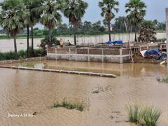 Bihar News: पटना में नदियों का तटबंधन टूटा, किसानों की फसल और स्कूल डूबे, तस्वीरों में देखें हालात