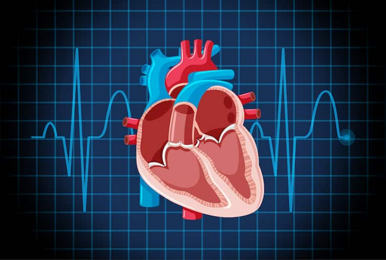 These signs-of-blockages-in-coronary-arteries know reason also Heart Blockage: ਦਿਲ ਦੀਆਂ ਨਾੜੀਆਂ ਬਲਾਕ ਹੋਣ ਤੋਂ 10 ਦਿਨ ਪਹਿਲਾਂ ਸਰੀਰ 'ਚ ਨਜ਼ਰ ਆਉਂਦੇ ਆਹ ਲੱਛਣ, ਜਾਣੋ ਕਾਰਨ