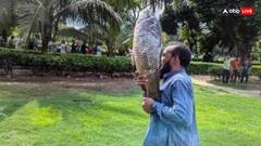 महंगा सूटकेस ही नहीं, बकरी और मछली तक उठा ले गए लोग... शेख हसीना के PM हाउस से प्रदर्शनकारियों ने लूटा ये सामान