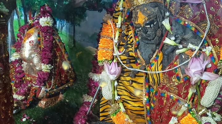 मंदिर के पुजारी श्याम गिरी गोस्वामी महाराज ने बताया कि कंसुआ धाम कण्व ऋषि की तपोस्थली है. जहां पर दुष्यंत-शकुंतला के प्रणय से जन्मे शेरों के दांत गिनने वाले महाप्रतापी भरत का बचपन बीता है. उनकी अठखेलियों के निशान आज भी बाकी हैं.