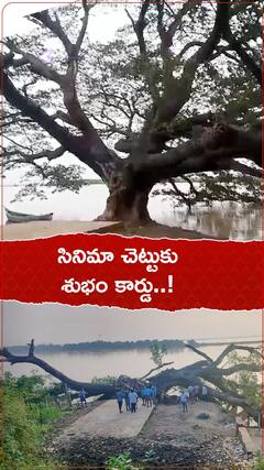 సినిమా చెట్టుకు శుభం కార్డు..!