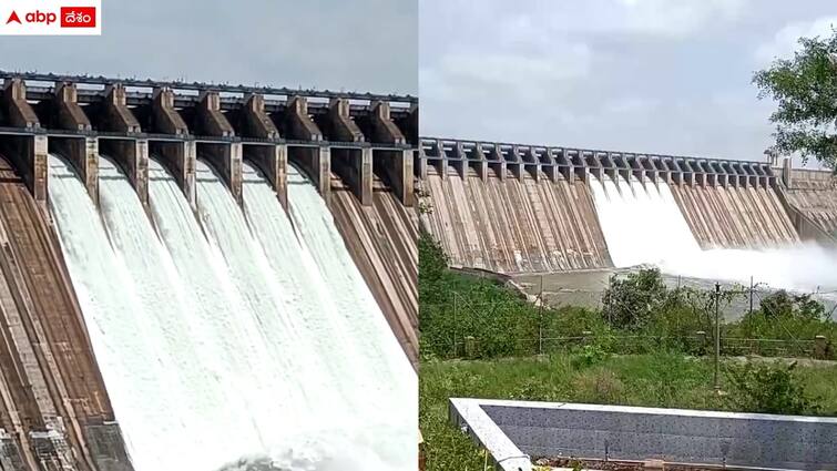 nagarjuna sagar dam six crust gates lifted and released flood water Nagarjuna Sagar: నాగార్జునసాగర్ డ్యామ్ గేట్లు ఎత్తిన అధికారులు - వడివడిగా కృష్ణమ్మ పరుగులు