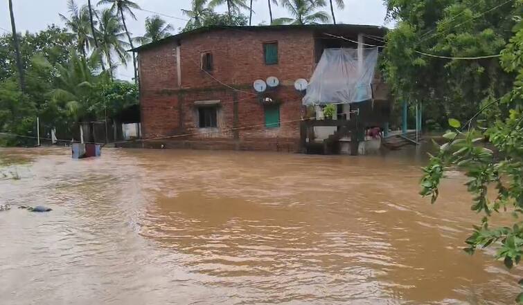 Due to heavy rains, holidays were declared in schools and colleges in Valsad and Navsari Rain Update: આ ત્રણ નદીએ વટાવી ભયજનક સપાટી,  આ 2 જિલ્લામાં શાળા  કોલેજ બંધ