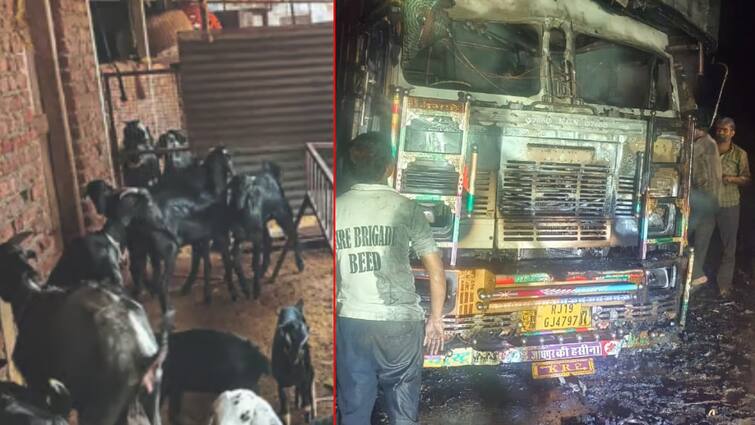 30 goats died in truck fire in beed national highwa 170 goats saved, police constable injured ट्रकला लागेलल्या आगीत 30 शेळ्यांचा होरपळून मृत्यू; 170 शेळ्यांना जीवनदान, पोलीस हवालदार जखमी