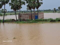 Bihar News: पटना में नदियों का तटबंधन टूटा, किसानों की फसल और स्कूल डूबे, तस्वीरों में देखें हालात