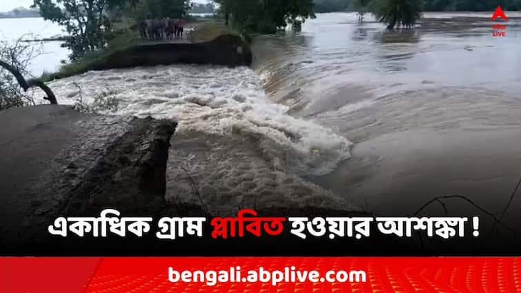 Birbhum Labpur  flood situation  due to breaking river dam Birbhum News: একাধিক গ্রাম প্লাবিত হওয়ার আশঙ্কা ! বীরভূমে ভাঙল কুয়ে নদীর বাঁধ