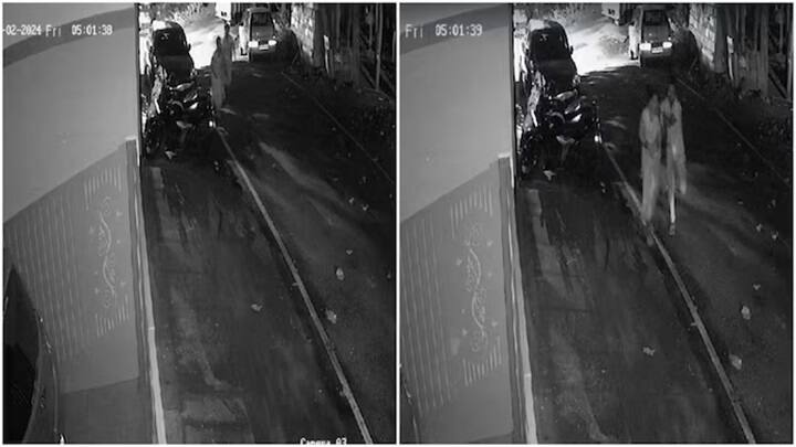 Bengaluru woman molested during morning walk Man flees spot Caught on CCTV அதிகாலையில் வாக்கிங் சென்ற இளம்பெண்.. அத்துமீறிய மர்ம நபர்.. அதிர்ச்சி சிசிடிவி காட்சி!