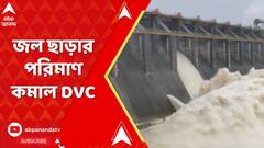 ব্যারাজ থেকে জল ছাড়া নিয়ে ঝাড়খণ্ডের মুখ্যমন্ত্রীর সঙ্গে কথা মমতার