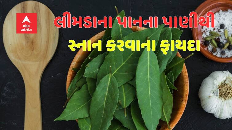 Lifestyle Bathing with neem leaves has many benefits this is the right way to use Neem Water Bath: લીમડાના પાનથી સ્નાન કરવાના એક નહીં અનેક છે ફાયદા, આ છે સાચી રીત