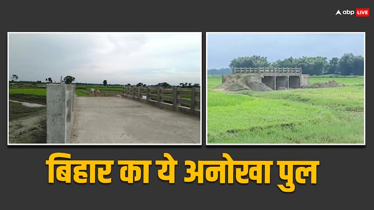 Bihar Rural Works Department built unique bridge without approach path between the fields in Araria Nitish kumar Bihar Unique Bridge: अररिया में बिना एप्रोच पथ के खेत के बीचो बीच बना पुल, गांव वाले पूछ रहे इसका क्या करें?