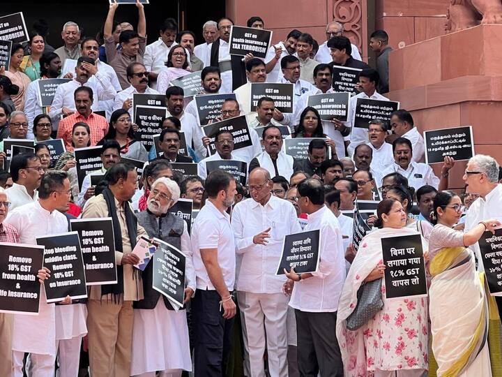 उन्होंने आगे कहा, ''NDA सरकार के इस अत्याचार के खिलाफ इंडिया गठबंधन के सभी नेताओं और साथियों के साथ संसद भवन के बाहर प्रदर्शन में भाग लिया.''