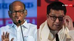 महाराष्ट्र: 'आखिर चाहते क्या हैं वो, उन्हें...', शरद पवार पर भड़के राज ठाकरे