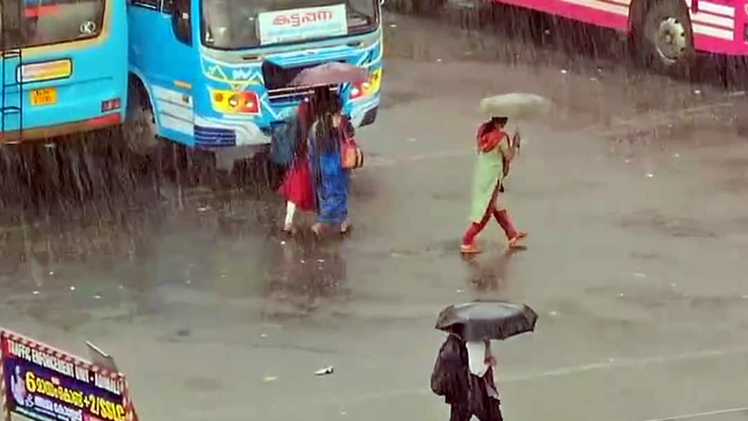 Kerala Idukki district Low monsoon rains Here is the reason for the decrease in the number of tourists - TNN இடுக்கி மாவட்டத்தில் குறைந்த பருவ மழை.. சுற்றுலா பயணிகளின் வருகையும் குறைந்ததன் காரணம் என்ன?