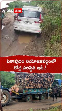 పిఠాపురం నియోజకవర్గంలో రోడ్ల పరిస్థితి ఇదీ!