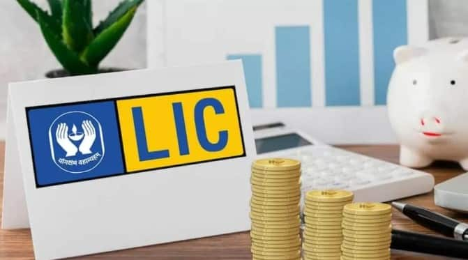 LIC Q1 Results Life Insurance Corporation Posts 10544 Crore Rupees Net Profit In Q1 FY25 LIC Q1 Results: एलआईसी ने पेश किए दमदार नतीजे, पहली तिमाही में हुआ 10544 करोड़ रुपये का मुनाफा