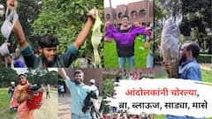 कुणी नेसल्या साड्या, तर कुणाच्या हातात ब्लाऊज; बकरी, मासे अन् बरंच काही; आंदोलकांनी लुटलं शेख हसीनांचं घर