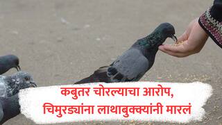 Gadchiroli : कबुतर चोरल्याचा आरोप केला, चार चिमुकल्यांना लाथा मारल्या, काठीने बदडले; गडचिरोलीतील व्हिडीओ व्हायरल 