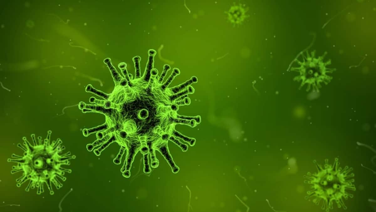 Kerala: 27-Year-Old Dies Of Amoebic Meningoencephalitis, 3 Others Test Positive In Trivandrum