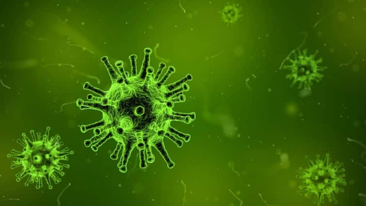 Amoebic Meningoencephalitis amoebic brain fever Kerala 27-Year-Old Dies 3 Others Test Positive In Trivandrum Kerala: 27-Year-Old Dies Of Amoebic Meningoencephalitis, 3 Others Test Positive In Trivandrum