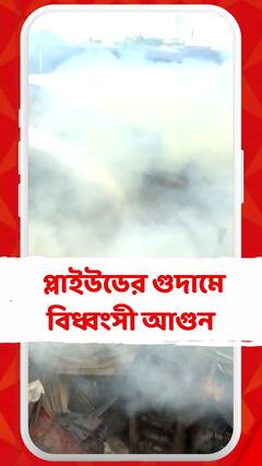 উল্টোডাঙায় প্লাইউডের গুদামে বিধ্বংসী আগুন।