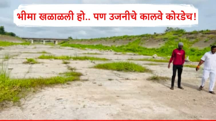 Solapur news Ujni Dam Canal dried After water discharge from Vir and Ujni dam Maharashtra news भीमा खळाळली पण उजनी धरणाचे कालवे कोरडेच! सोलापूरकरांना पाण्याची प्रतीक्षा