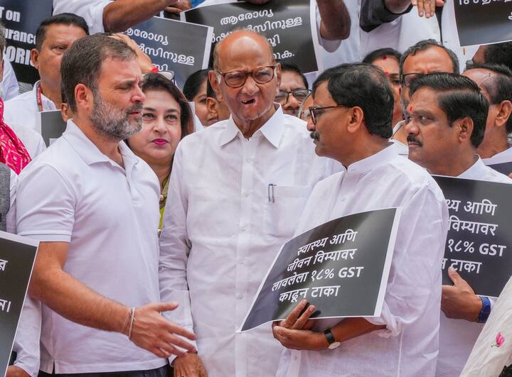 प्रदर्शन के दौरान राहुल गांधी, शरद पवार और शिवसेना यूबीटी के सांसद संजय राउत बातचीत करते दिखे.