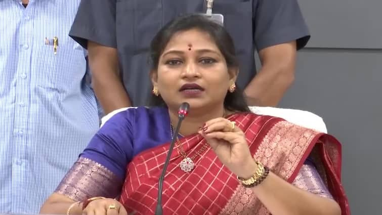 AP Home Minister Anitha comments on YS Jagan petitioned the High Court for security AP Minister Anitha: రాజకీయ లబ్ధి కోసమే హైకోర్టులో జగన్‌ పిటిషన్‌, అంత సెక్యూరిటీ అవసరమా?: హోంమంత్రి అనిత