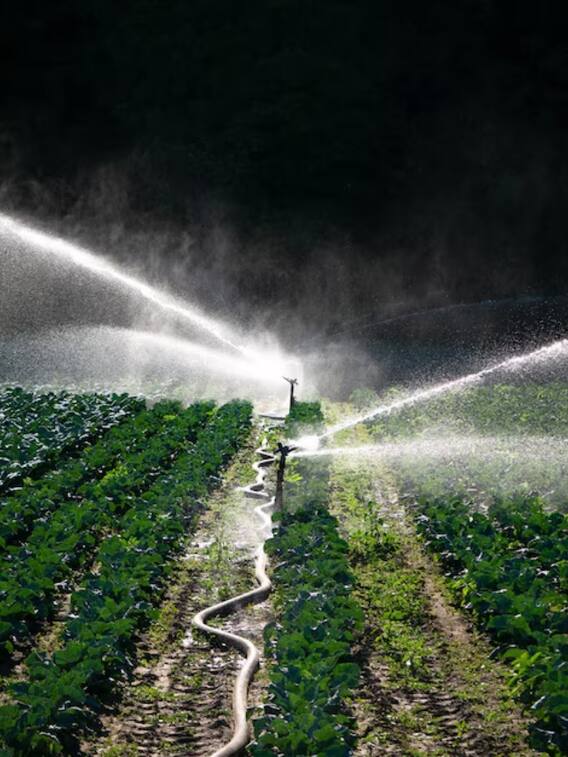 इस राज्य में किसानों को मिल रही डीजल पर सब्सिडी