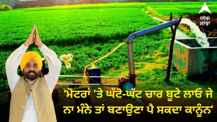 Cm Mann Appeal to farmers to plant at least four saplings in the fields Punjab News: ਮੋਟਰਾਂ 'ਤੇ ਘੱਟੋ-ਘੱਟ ਚਾਰ ਬੂਟੇ ਲਾਓ ਜੇ ਨਾ ਮੰਨੇ ਤਾਂ ਬਣਾਉਣਾ ਪੈ ਸਕਦਾ ਕਾਨੂੰਨ, CM ਮਾਨ ਦੀ ਕਿਸਾਨਾਂ ਨੂੰ ਸਲਾਹ ਭਰੀ 'ਚੇਤਾਵਨੀ' !