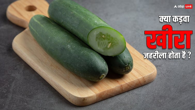 Bitter Cucumber Can Be Dangerous Learn How It Can Affect Your Health Health Risks : कड़वा खीरा खाने से हो सकती है मौत, जानें क्या है इसकी वजह?