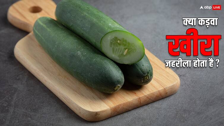 Health Risks : कड़वा खीरा खाने से हो सकती है मौत, जानें क्या है इसकी वजह? Bitter Cucumber Can Be Dangerous Learn How It Can Affect Your Health Health Risks : कड़वा खीरा खाने से हो सकती है मौत, जानें क्या है इसकी वजह?