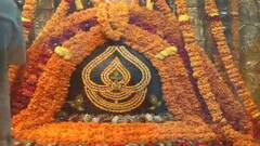 Somnath Mahadev: સોમનાથ મહાદેવને શ્રાવણ માસના બીજા દિવસે 165 કિલો કેસરી પુષ્પનો શણગાર કરવામાં આવ્યો, જાણો શું છે વિશેષતા