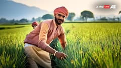 यूपी के किसानों के लिए अच्छी खबर! जल्द शुरू होगी 'यूपी एग्रीस' परियोजना, होगा ये फायदा