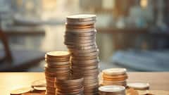 Multibagger Stocks: ৫ বছরে ১ লাখ থেকে ১৮ লাখ পেতেন, বিপুল মুনাফা এই স্টকে