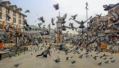 Elections 2024: चुनावी काउंटडाउन शुरू! यहां पहुंच रही EC की टीम, दो दिन में कर सकती है बड़ा ऐलान