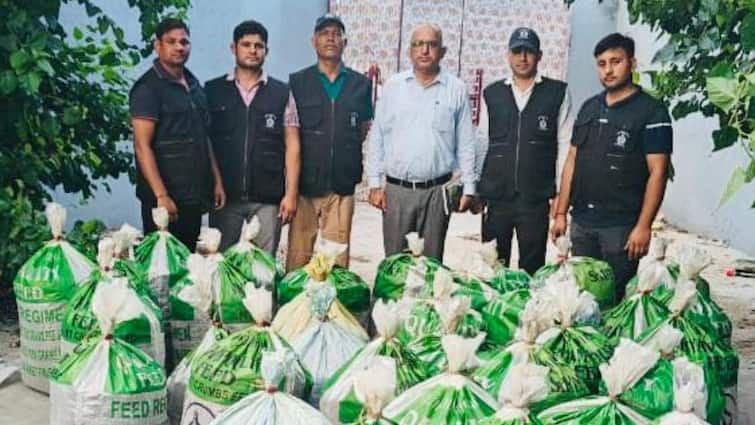 Haryana big action against drug smugglers 762 KG ganja recovered from house after raid in Gurugram ANN गुरुग्राम में गांजा तस्करी का भंडाफोड़, मकान से पुलिस ने बरामद किया करोड़ों का नशीला पदार्थ